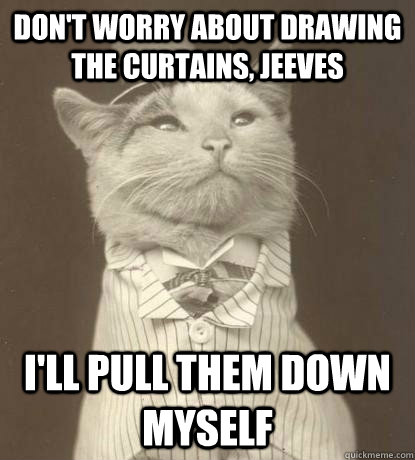 Don't worry about drawing the curtains, Jeeves I'll pull them down myself  Aristocat