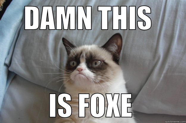 Foxe scared cat - DAMN THIS  IS FOXE Grumpy Cat