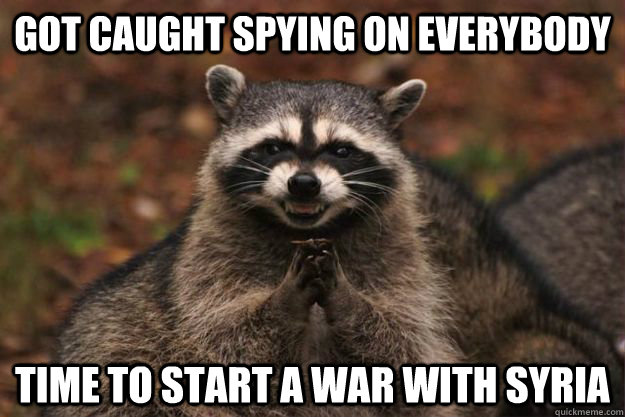 Got caught spying on everybody Time to start a war with syria  Evil Plotting Raccoon