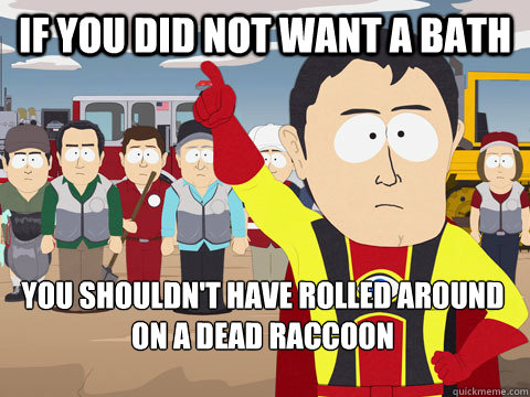 IF YOU DID NOT WANT A BATH YOU SHOULDN'T HAVE ROLLED AROUND ON A DEAD RACCOON  - IF YOU DID NOT WANT A BATH YOU SHOULDN'T HAVE ROLLED AROUND ON A DEAD RACCOON   Captain Hindsight