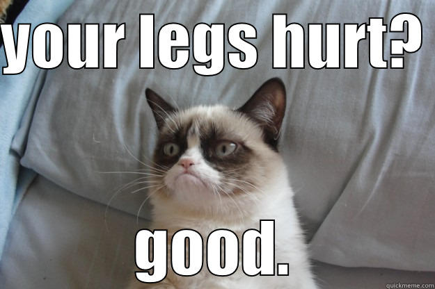 YOUR LEGS HURT?  GOOD. Grumpy Cat