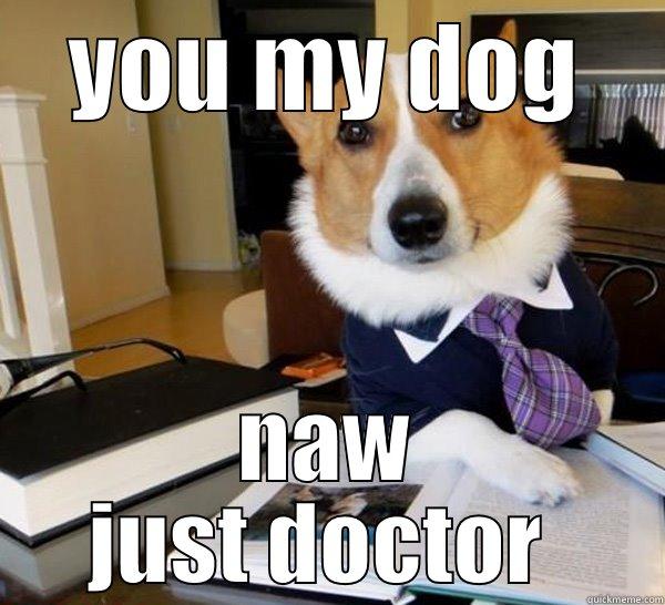 YOU MY DOG NAW JUST DOCTOR  Lawyer Dog