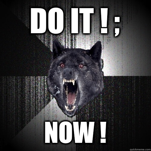 Do it ! ; Now !  Insanity Wolf