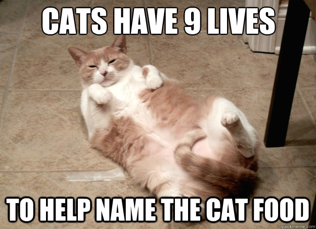 cats have 9 lives to help name the cat food - cats have 9 lives to help name the cat food  Misc