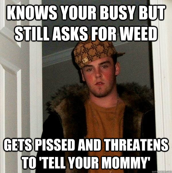 Knows your busy but still asks for weed gets pissed and threatens to 'tell your mommy'   Scumbag Steve