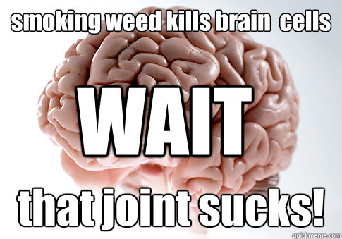 smoking weed kills brain  cells that joint sucks! WAIT  Scumbag Brain