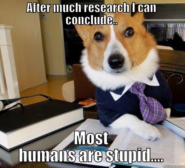 AFTER MUCH RESEARCH I CAN CONCLUDE.. MOST HUMANS ARE STUPID.... Lawyer Dog