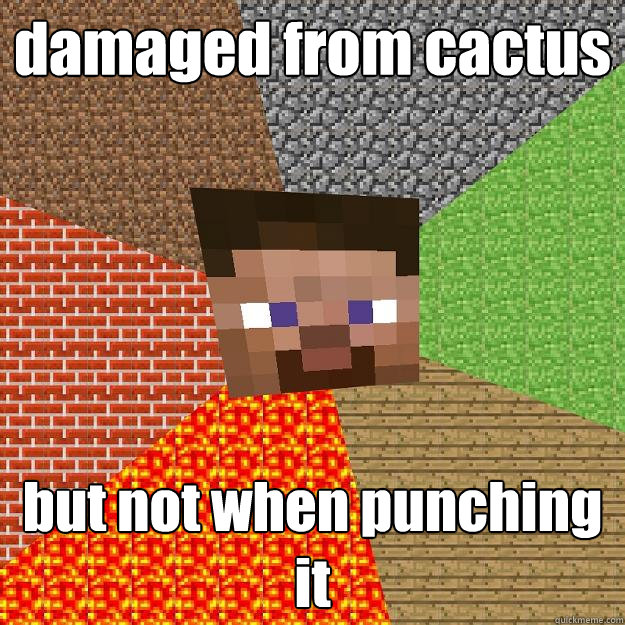 damaged from cactus but not when punching it   Minecraft