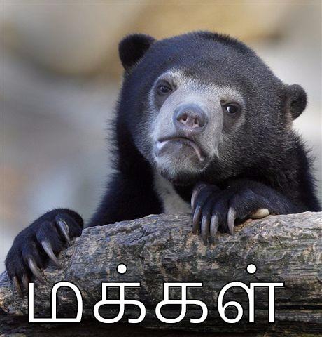  தி.மு.க தொண்டர்கள்  மக்கள் Confession Bear