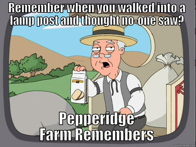 REMEMBER WHEN YOU WALKED INTO A LAMP POST AND THOUGHT NO-ONE SAW? PEPPERIDGE FARM REMEMBERS Pepperidge Farm Remembers