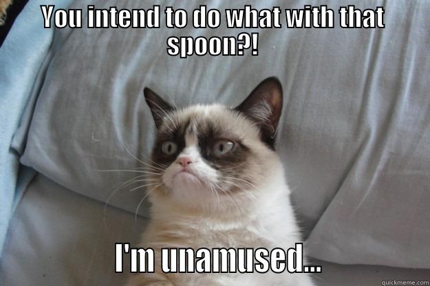 YOU INTEND TO DO WHAT WITH THAT SPOON?!                 I'M UNAMUSED...               Grumpy Cat