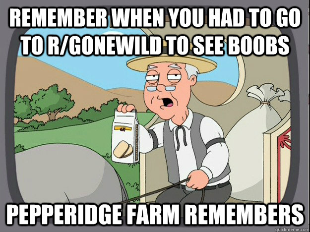 remember when you had to go to r/gonewild to see boobs Pepperidge farm remembers  Pepperidge Farm Remembers