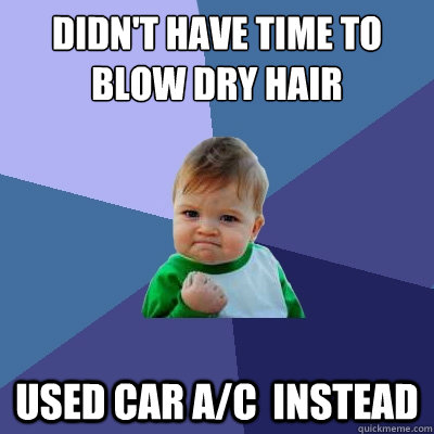 Didn't have time to blow dry hair used car a/c  instead - Didn't have time to blow dry hair used car a/c  instead  Success Kid