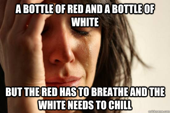 a bottle of red and a bottle of white but the red has to breathe and the white needs to chill  First World Problems