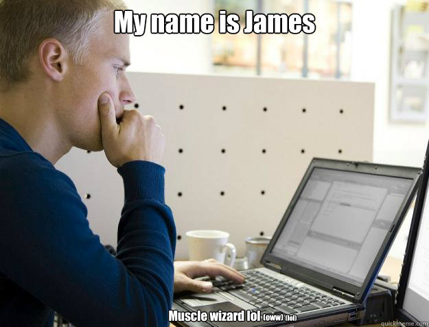 My name is James Muscle wizard lol (oww) (lol)  Programmer