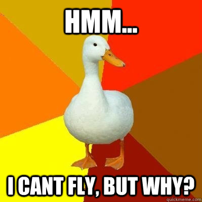 HMM... I cant fly, but why? - HMM... I cant fly, but why?  Tech Impaired Duck