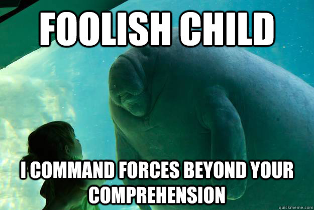 Foolish child i command forces beyond your comprehension - Foolish child i command forces beyond your comprehension  Overlord Manatee