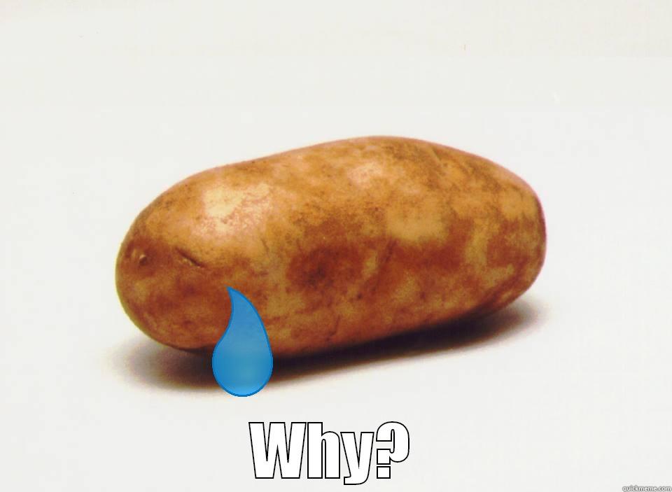 why potato -  WHY? Misc