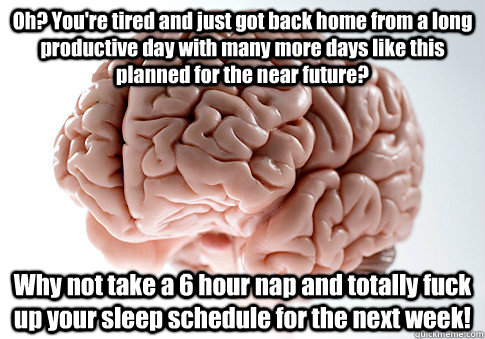 Oh? You're tired and just got back home from a long productive day with many more days like this planned for the near future? Why not take a 6 hour nap and totally fuck up your sleep schedule for the next week!  Scumbag Brain