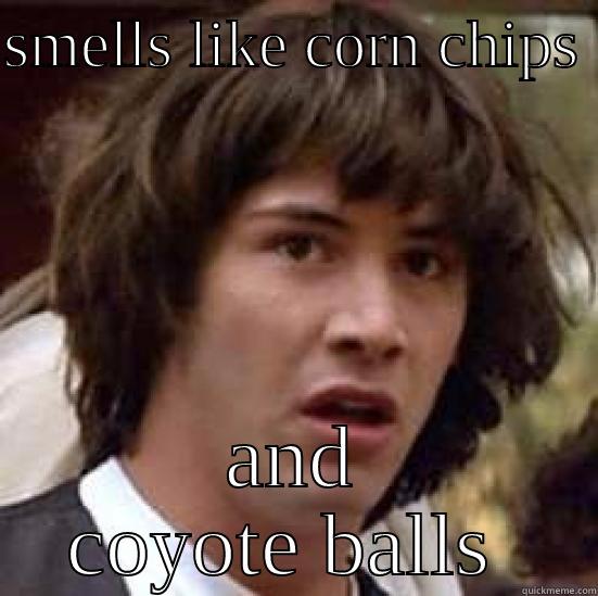 SMELLS LIKE CORN CHIPS  AND COYOTE BALLS  conspiracy keanu