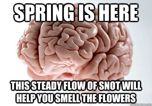 Spring is here This steady flow of snot will help you smell the flowers - Spring is here This steady flow of snot will help you smell the flowers  Scumbag Brain