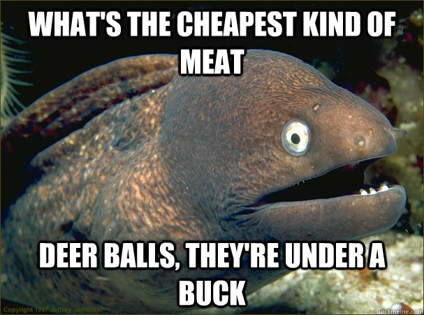 what's the cheapest kind of meat deer balls, they're under a buck  Bad Joke Eel