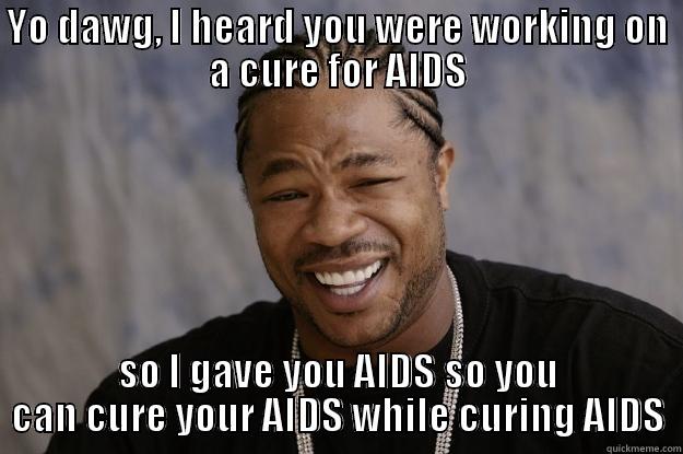 YO DAWG, I HEARD YOU WERE WORKING ON A CURE FOR AIDS SO I GAVE YOU AIDS SO YOU CAN CURE YOUR AIDS WHILE CURING AIDS Xzibit meme