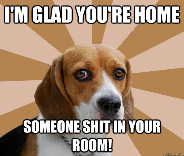 I'm glad you're home someone shit in your room!   