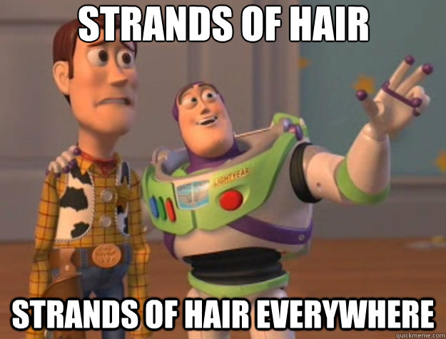 Strands of hair Strands of hair everywhere  Toy Story