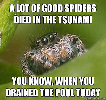 A lot of good spiders died in the tsunami you know, when you drained the pool today  