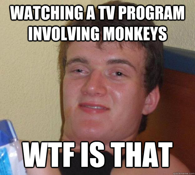 Watching a TV program involving monkeys WTF is that - Watching a TV program involving monkeys WTF is that  10 Guy