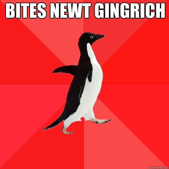 Bites Newt Gingrich   Socially Awesome Penguin