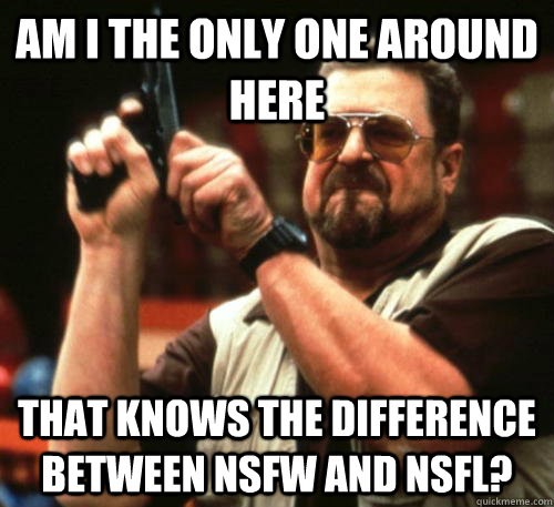 Am i the only one around here That knows the difference between NSFW and NSFL?  Am I The Only One Around Here