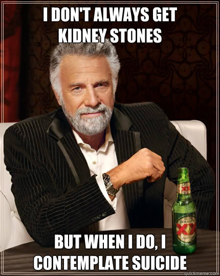 i don't always get         kidney stones but when i do, i contemplate suicide  The Most Interesting Man In The World