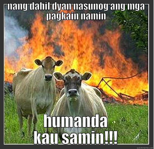 NANG DAHIL DYAN NASUNOG ANG MGA PAGKAIN NAMIN HUMANDA KAU SAMIN!!! Evil cows