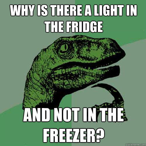 Why is there a light in the fridge and not in the freezer?  Philosoraptor