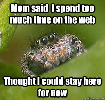 Mom said  I spend too much time on the web Thought I could stay here for now - Mom said  I spend too much time on the web Thought I could stay here for now  Misunderstood Spider