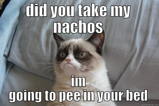 DID YOU TAKE MY NACHOS IM GOING TO PEE IN YOUR BED Grumpy Cat