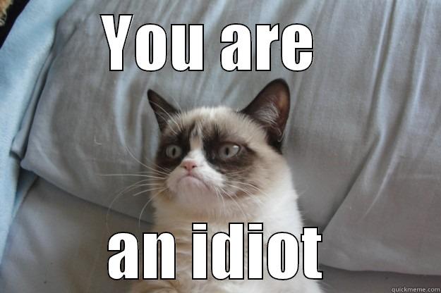 Because you are.. - YOU ARE  AN IDIOT Grumpy Cat