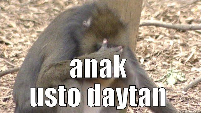 funny monk -  ANAK USTO DAYTAN Misc