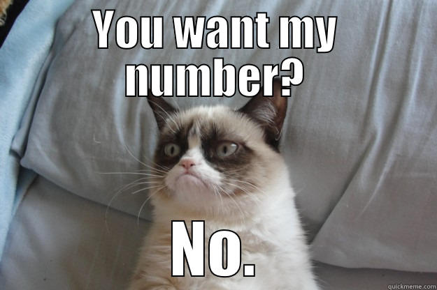 Here's my number - YOU WANT MY NUMBER? NO. Grumpy Cat