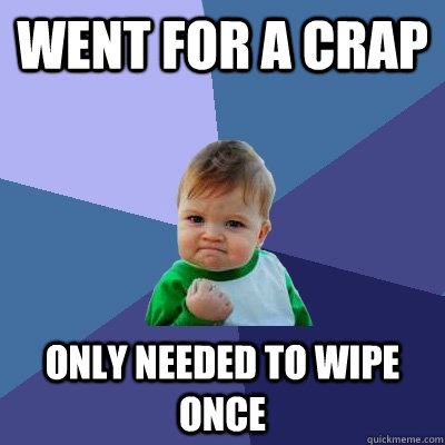 Went for a crap Only needed to wipe once - Went for a crap Only needed to wipe once  Success Kid