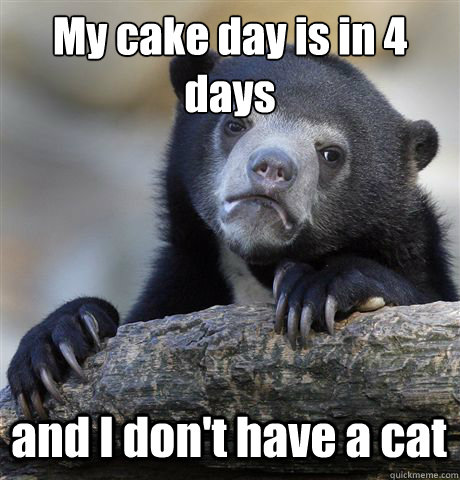 My cake day is in 4 days and I don't have a cat  Confession Bear