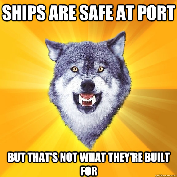 ships are safe at port but that's not what they're built for  Courage Wolf