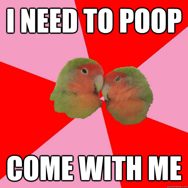 i need to poop come with me  Annoying Lovebirds