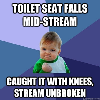 Toilet seat falls mid-stream caught it with knees, stream unbroken  Success Kid