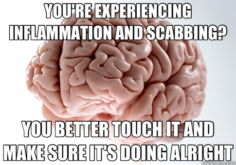 YOU'RE EXPERIENCING INFLAMMATION AND SCABBING? YOU BETTER TOUCH IT AND MAKE SURE IT'S DOING ALRIGHT  Scumbag Brain