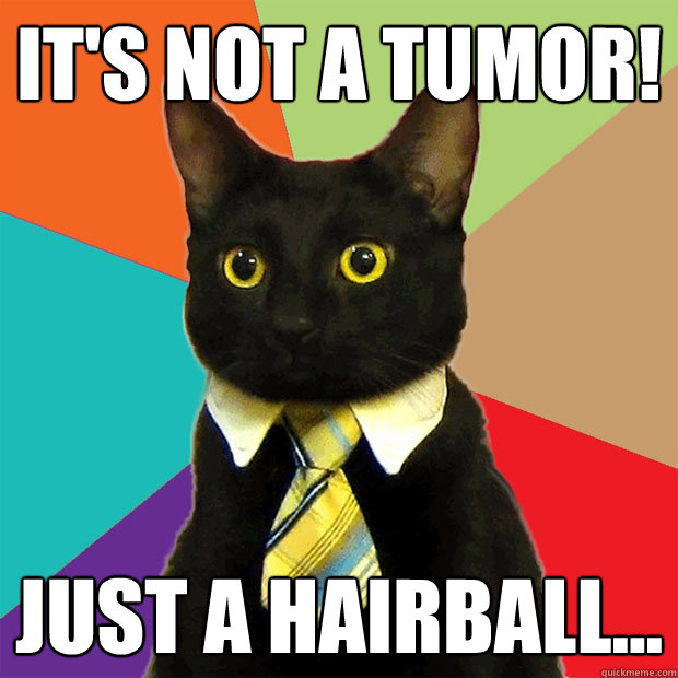 It's not a Tumor! Just a hairball... - It's not a Tumor! Just a hairball...  Business Cat