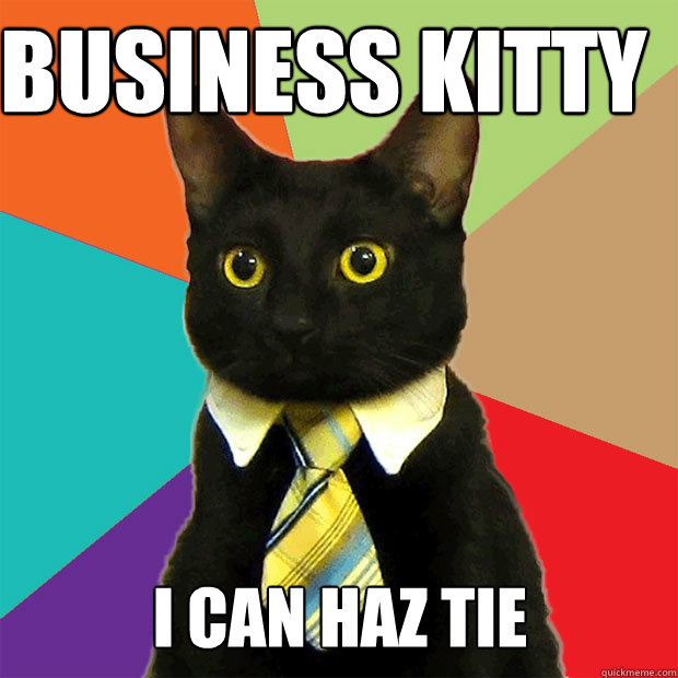 business kitty i can haz tie  Business Cat