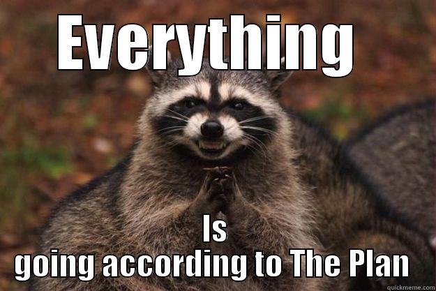 EVERYTHING  IS GOING ACCORDING TO THE PLAN  Evil Plotting Raccoon